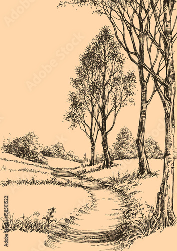A path in the park sketch wallpaper