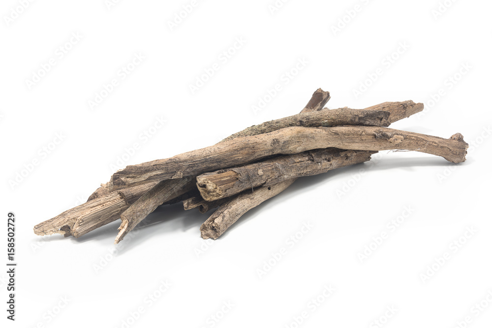Dry branches birch isolated isolated on white background.
