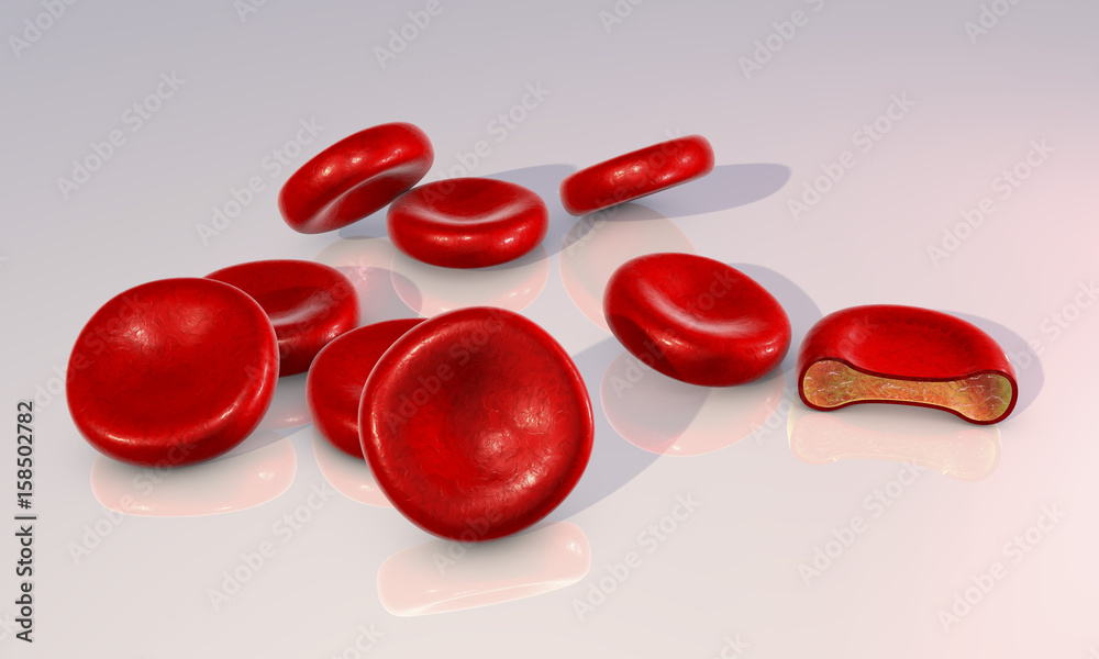 Red blood cells and transverse section of the cell. 3D illustration showing presence of hemoglobin solution inside erythrocyte Red blood cells and transverse section of the cell. 3D illustration showing presence of hemoglobin solution inside erythrocyte
