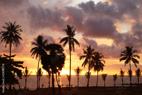 Travel to island Koh Lanta  Thailand. Palms tree on the background of the colorful sunset  cloudy sky and a sea.