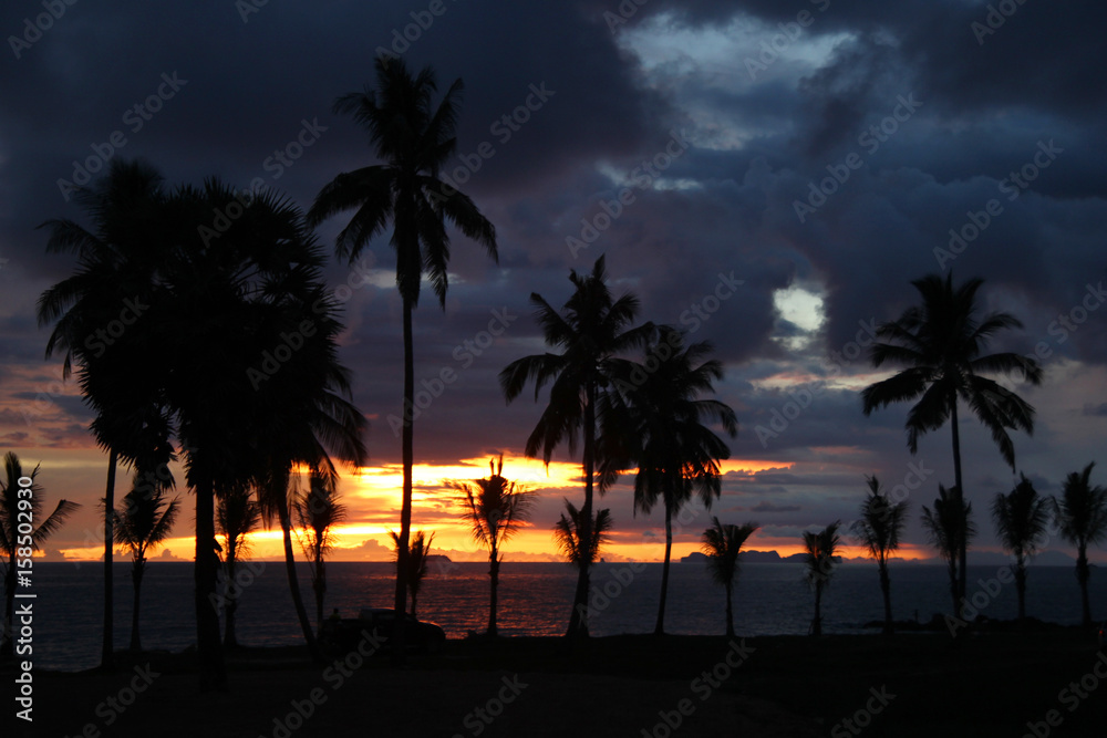 Travel to island Koh Lanta, Thailand. Palms tree on the background of the colorful sunset, cloudy sky and a sea.