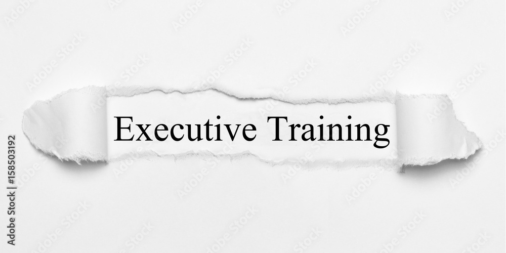 Obraz premium Executive Training on white torn paper