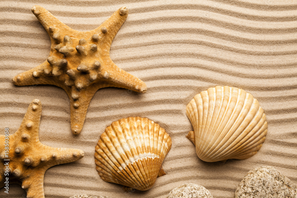 Summer background - Starfishes and shells on beach sand Summer background - Starfishes and shells on beach sand