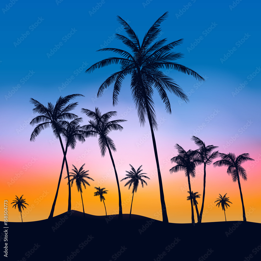 Summer Palm Trees Tumblr