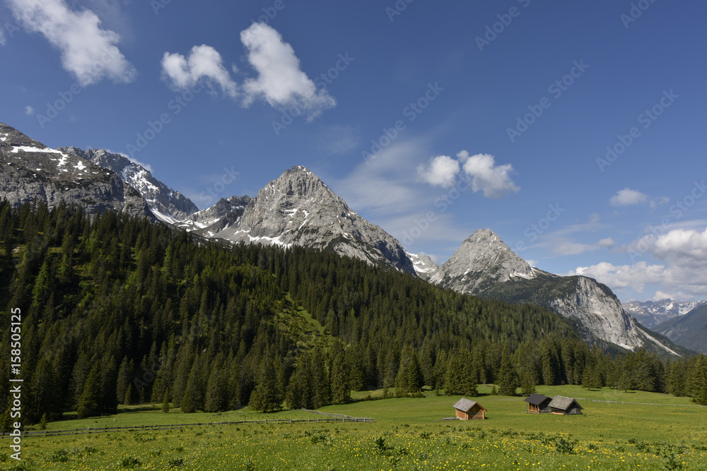 Alpine pasture with romantic hayricks in front of the Mieminger Kette mountain range near at lake Seebensee, Tyrol, Austria