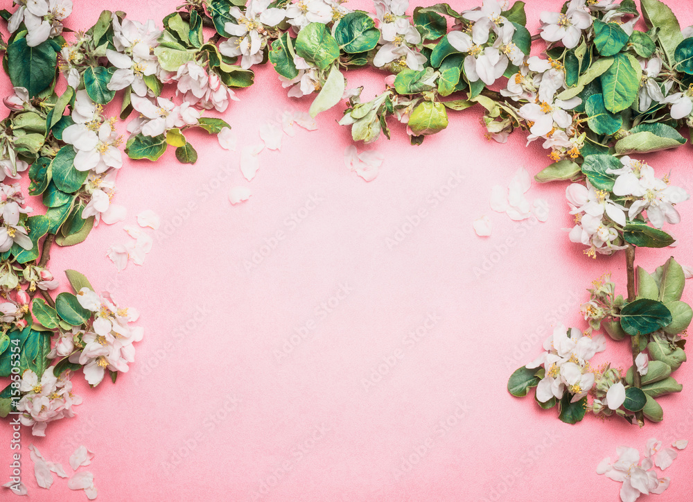 Lovely springtime turquoise blue background with white blossom, top view, frame. Springtime and nature concept Lovely springtime turquoise blue background with white blossom, top view, frame. Springtime and nature concept