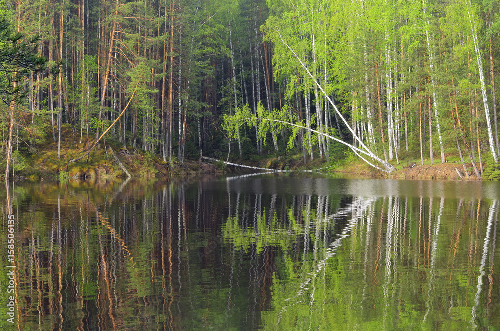 Spring scenic view of forest, lake, reflection in water, trees and green foliage. Spring scenic view of forest, lake, reflection in water, trees and green foliage.