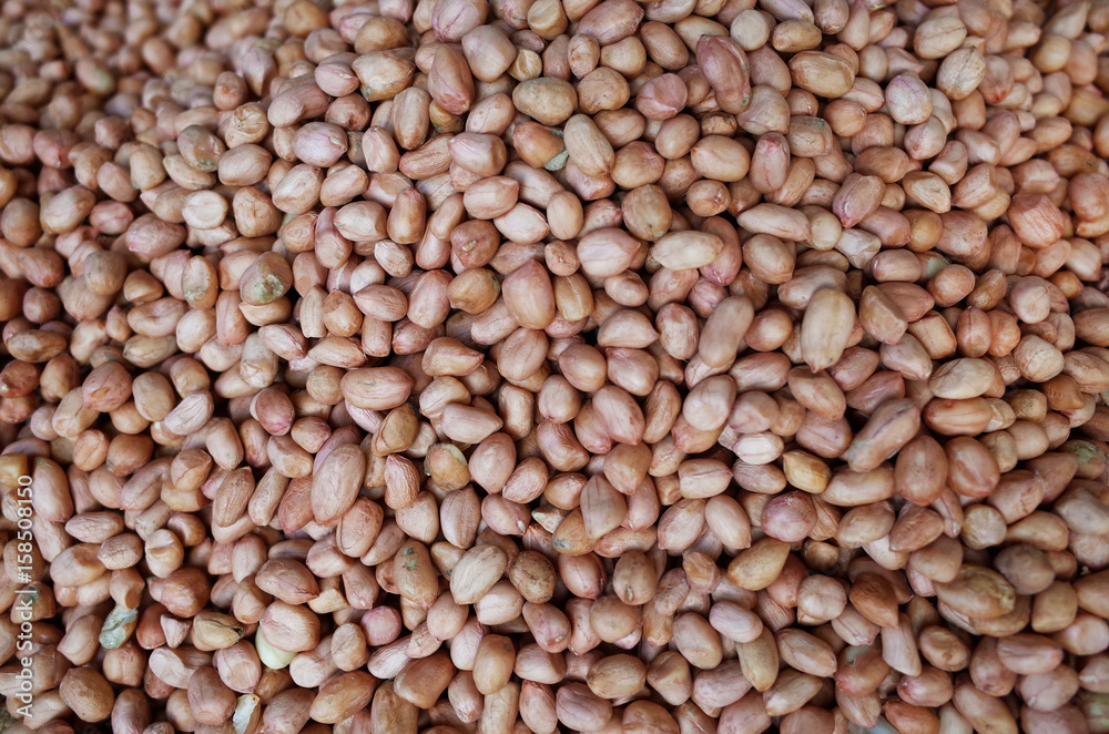 Heap of Boiled Peanut make them Dried 2 Heap of Boiled Peanut make them Dried 2