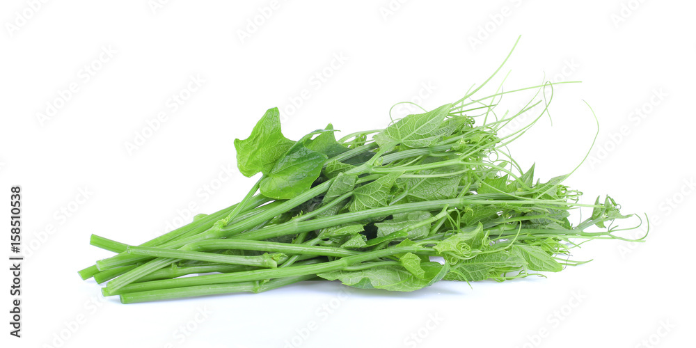 Fresh top gourd on white background Fresh top gourd on white background