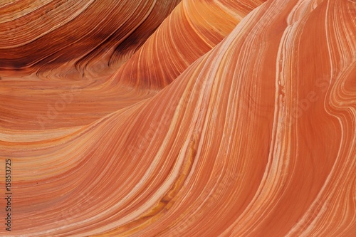 The Wave, Coyote Buttes in the Vermilion Cliffs photo