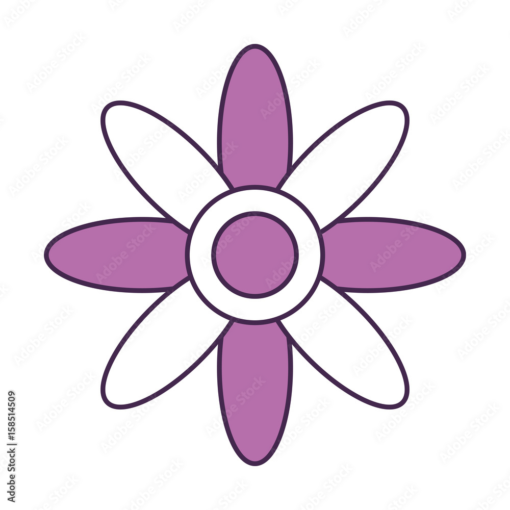 cute flower isolated icon vector illustration design cute flower isolated icon vector illustration design