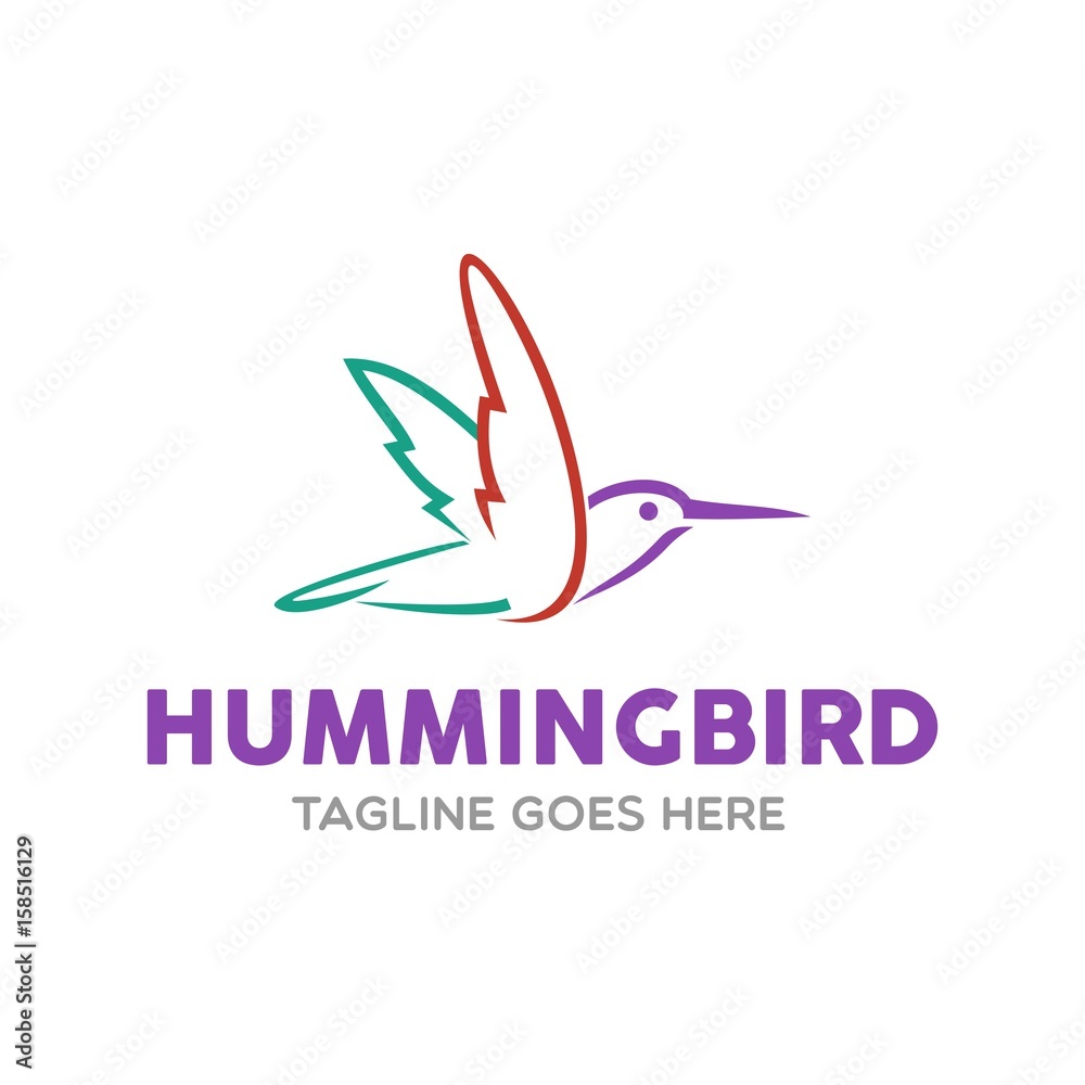 Fototapeta premium Unique Hummingbird Logo Template