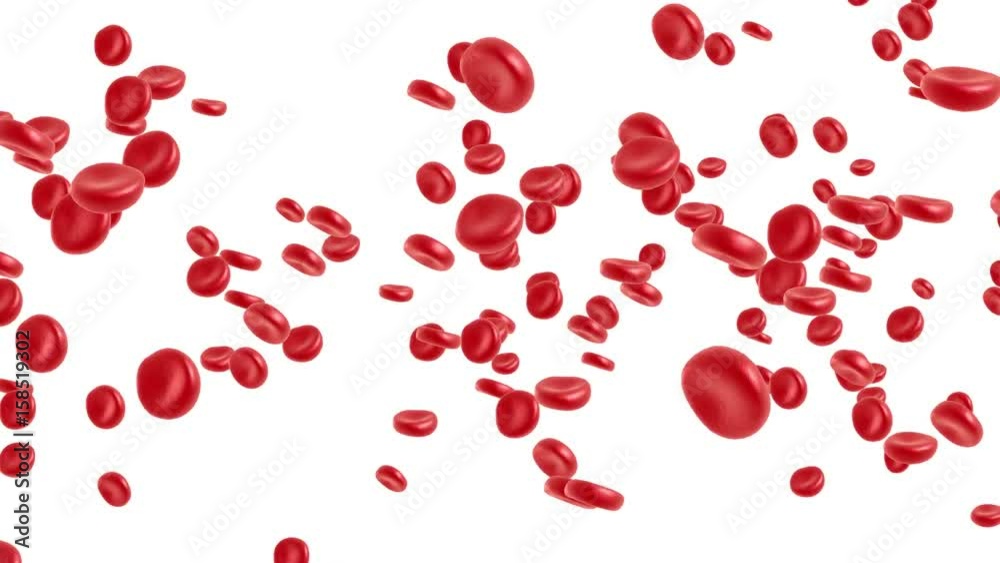 Red blood cell flowing in vein or artery. 3d render 4k animation. Healthcare and medical zoom concept. Red blood cell flowing in vein or artery. 3d render 4k animation. Healthcare and medical zoom concept.