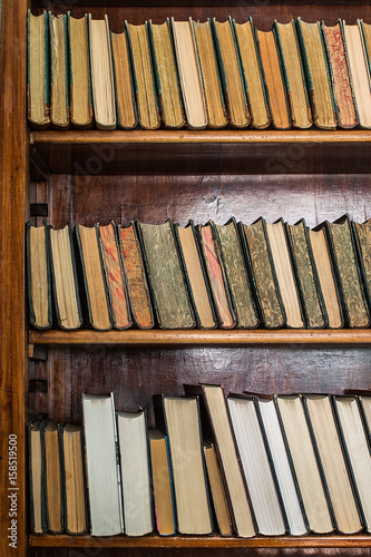 Books on wooden shelves in the library