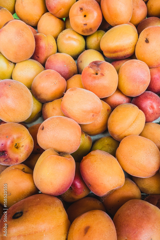 Close-up of apricots in a market Close-up of apricots in a market