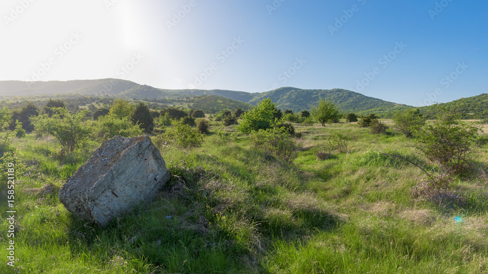 Natural summer sunrise landscape with stone in front