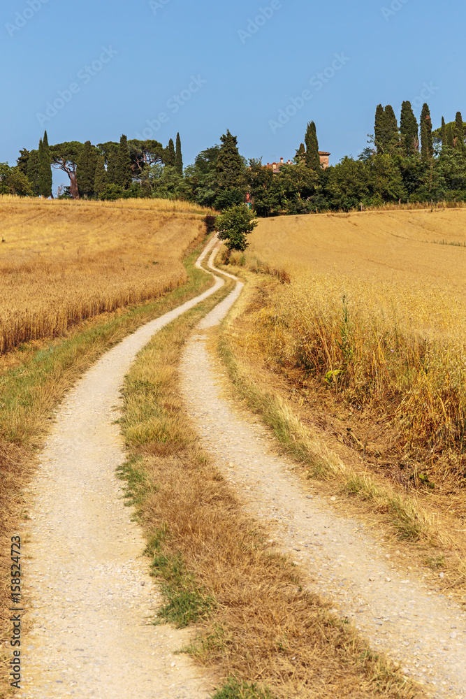 deserted country road in Italy