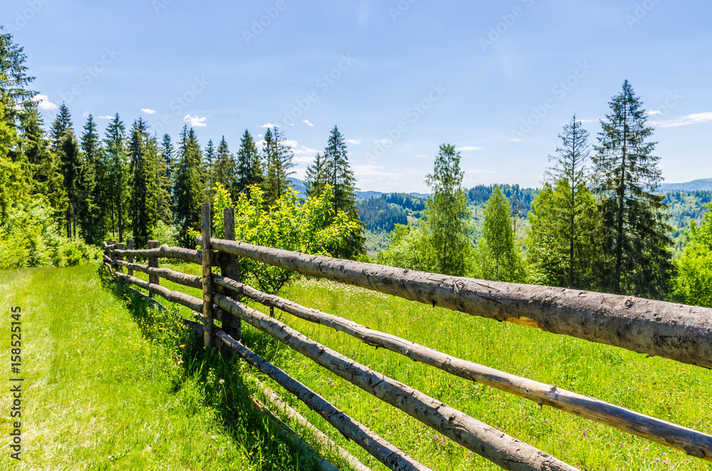 Background of Carpathian mountains landscape in Ukraine