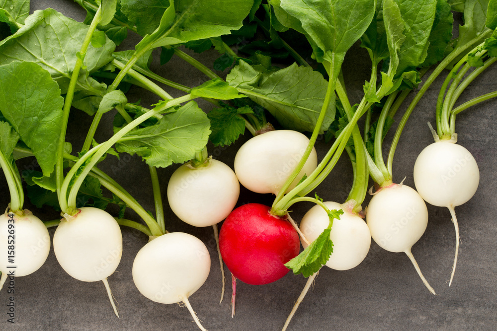 Radish fresh on the gray background. Radish fresh on the gray background.