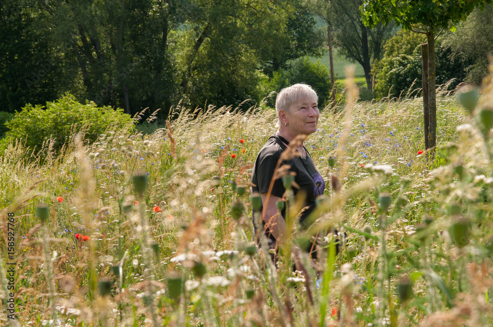 eine seniorin geht über eine sommerblumenwiese eine seniorin geht über eine sommerblumenwiese