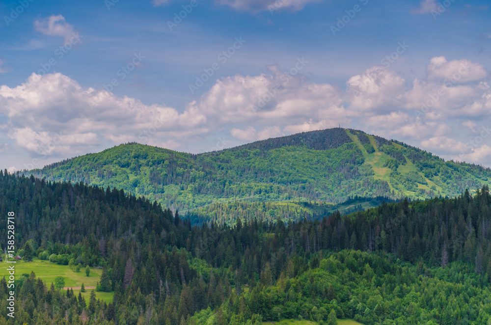 Fototapeta premium Background of Carpathian mountains landscape in Ukraine