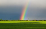 beautiful landscape with green meadow and a bright rainbow in the sky