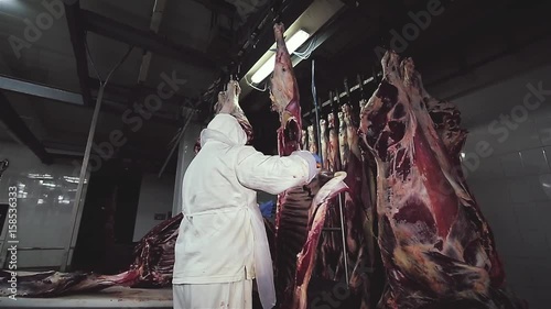 A huge butcher in a white dressing gown cuts the dead bodies of cows with a sharp steel knife. Slaughterhouse worker. Farm, meat processing plant. Conveyor made from suspended carcass of cattle.