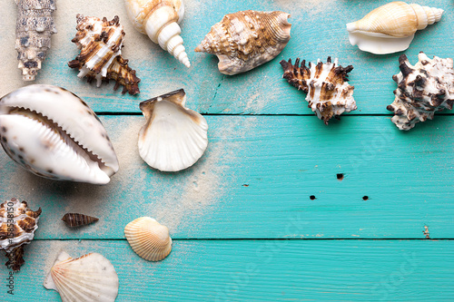 Marine summer postcard. Seashells on turquoise wooden boards in the sand on the beach