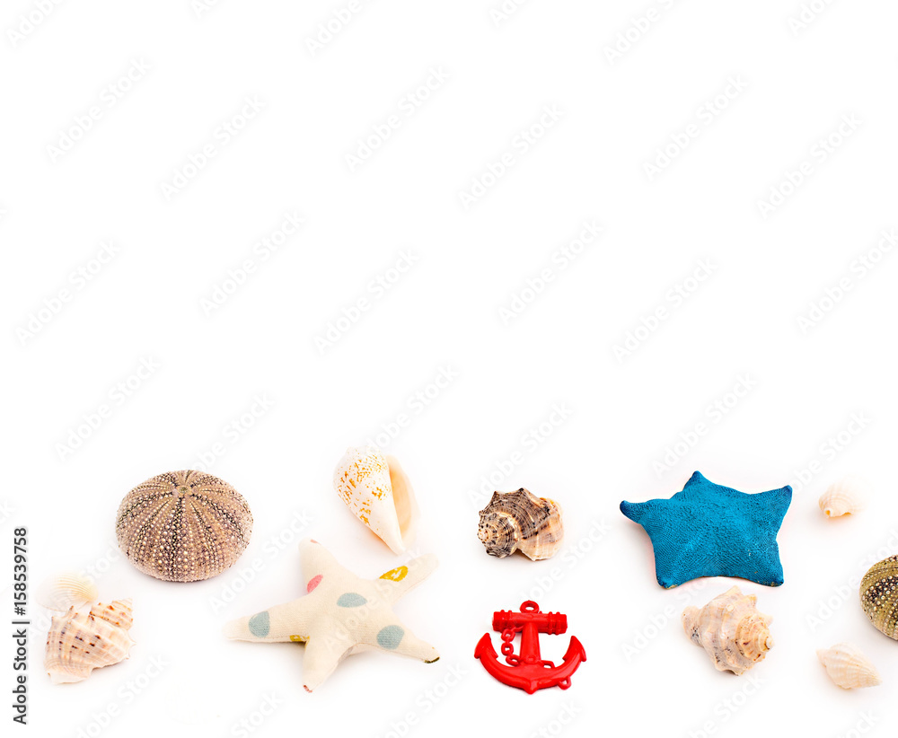 Set of sea shells on old wooden background Set of sea shells on old wooden background