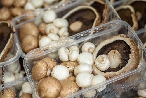 Mushroom Selection