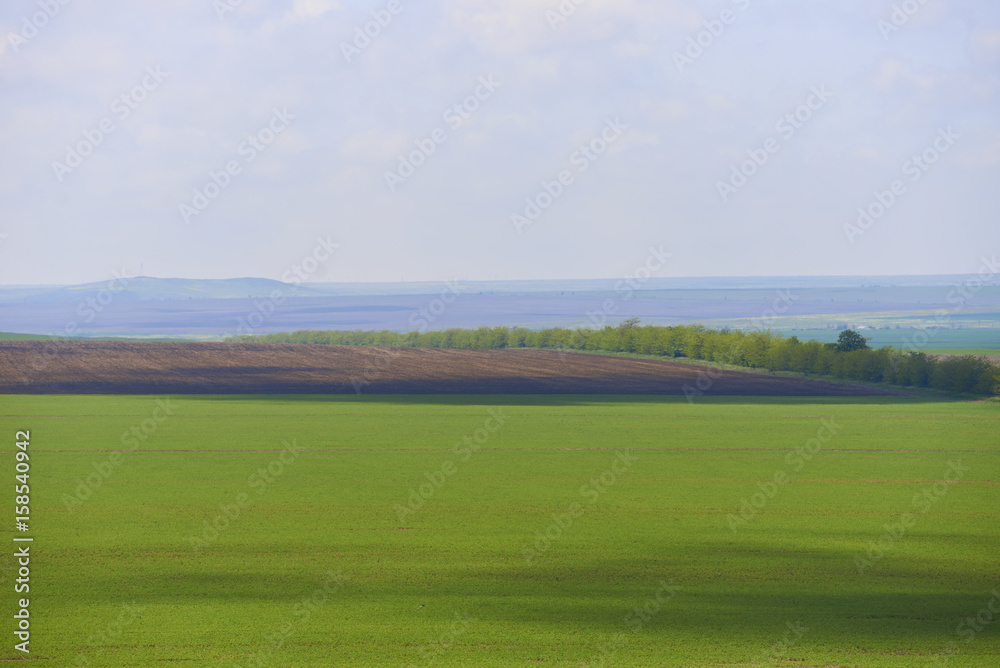 New field for golf. Top view on golf course in summer day. Place for green vegetables far in the horizon. Farm lands for cows or another animals. Copy space for advertising fresh and healthy food.