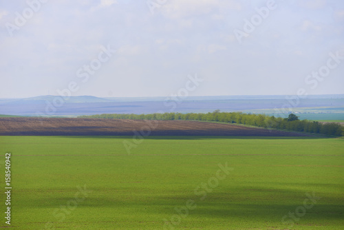 New field for golf. Top view on golf course in summer day. Place for green vegetables far in the horizon. Farm lands for cows or another animals. Copy space for advertising fresh and healthy food. © Anatoliy Karlyuk