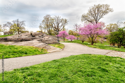 Central Park Spring - New York City photo