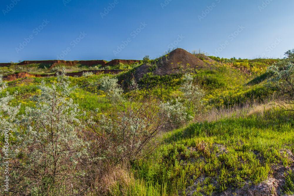 Ukrainian steppe in the spring