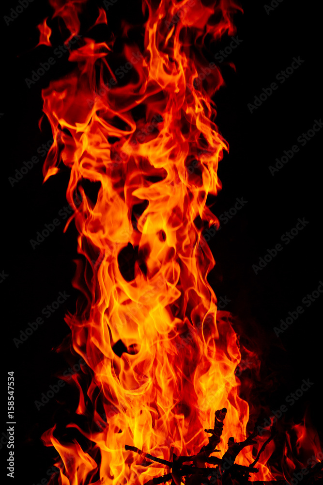 Fototapeta premium Fire
