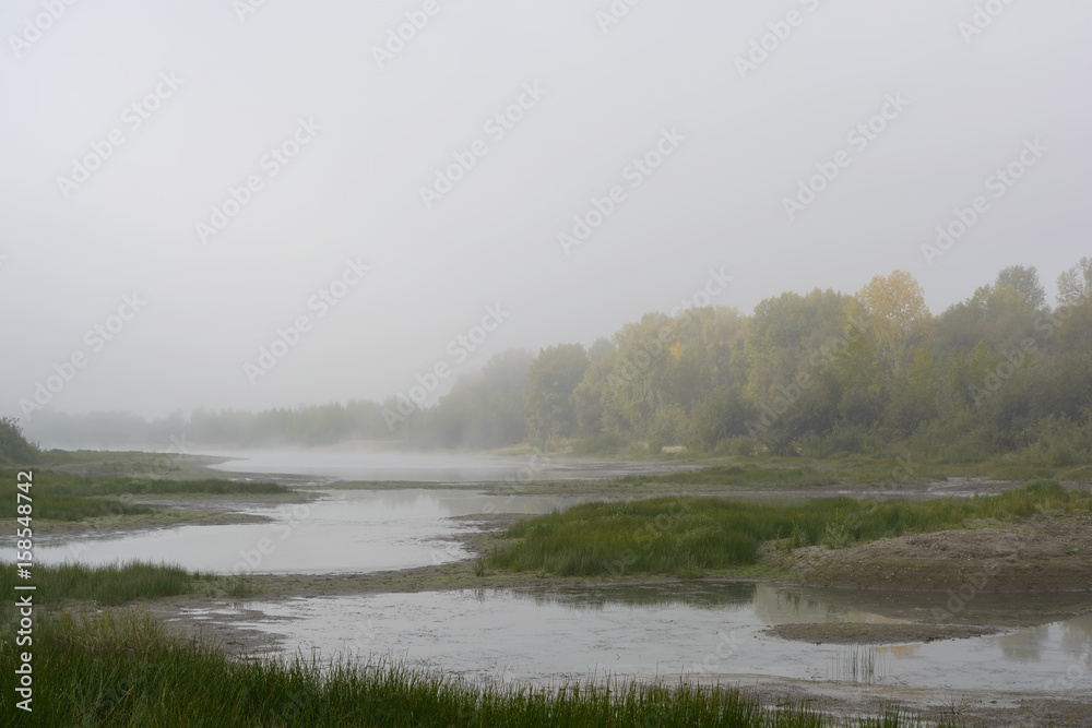 Morning fog above a drying river