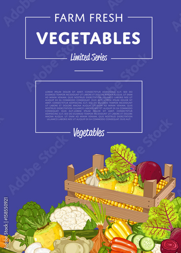Organic vegetable farming banner vector illustration. Natural growing, vegetable delivery, vegan retail, product store poster. Healthy farm food advertising with patison, potato, pumpkin, cabbage