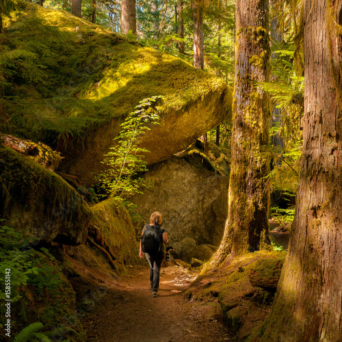 olympic national park
