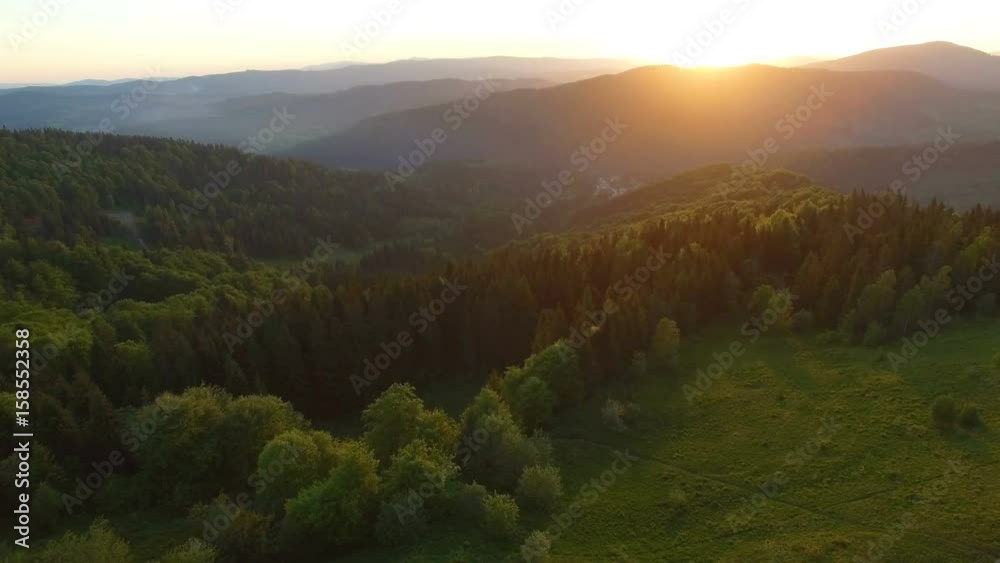 Beautiful aerial view of forest in mountains on sunset