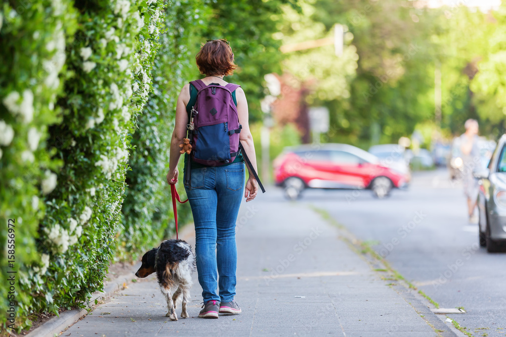 mature woman with Brittany dog on a sidewalk