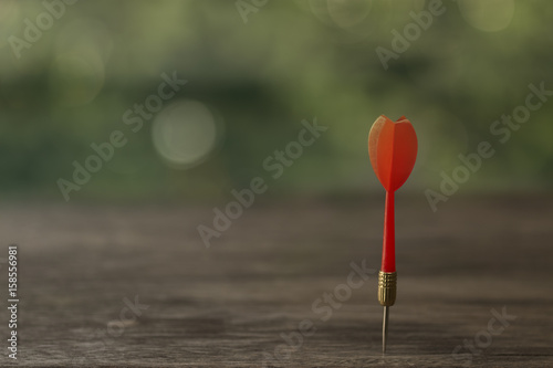 Red dart arrow with over blurred green background © 1981 Rustic Studio