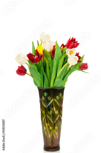 Photo of tulips isolated on white background