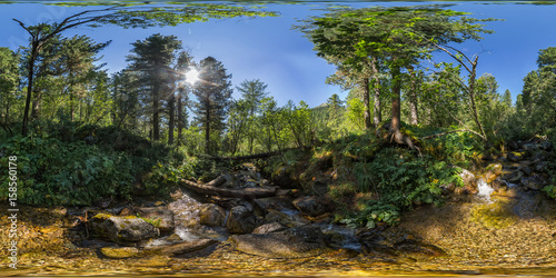 Spherical panorama 360 180 creek in a dense green forest