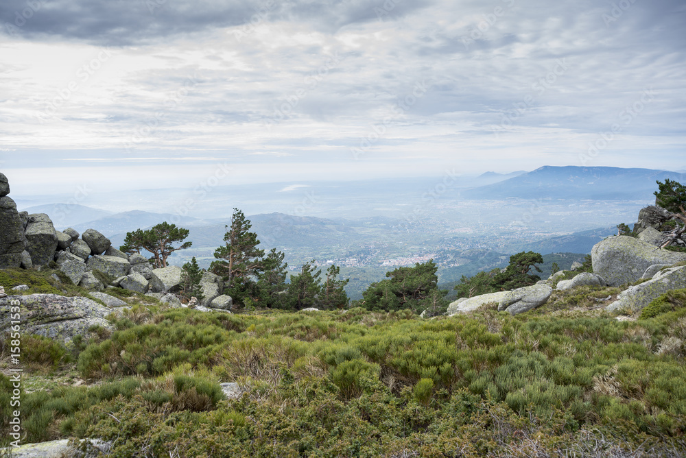 Scots pine forest in Siete Picos (Seven Peaks) range, in Guadarrama Mountains National Park, province of Madrid, Spain Scots pine forest in Siete Picos (Seven Peaks) range, in Guadarrama Mountains National Park, province of Madrid, Spain
