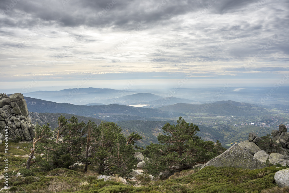 Scots pine forest in Siete Picos (Seven Peaks) range, in Guadarrama Mountains National Park, province of Madrid, Spain