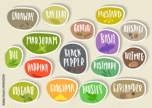 Vector set of trendy paper stickers for spices packing. Various natural herbal seasoning for food preparation with handwritten lettering and sketches of plants.