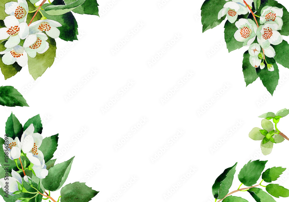 Fototapeta premium Wedding invitation DiY template Chubushnik handmade watercolor illustration.