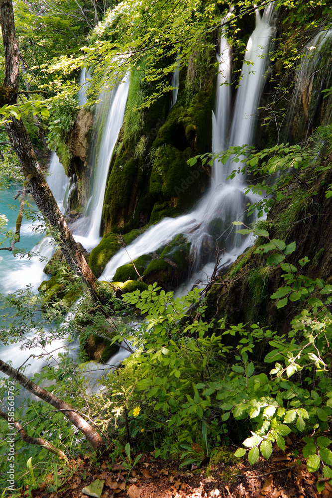 Obraz premium Waterfalls in Plitvice lakes