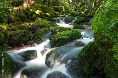 Gebirgsbach im Wald