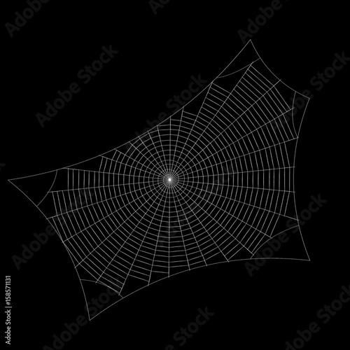 Spiderweb. Isolated on blac...